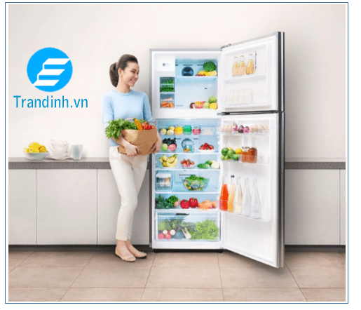 Tổng hợp những điểm nổi bật trong thiết kế của tủ lạnh Samsung: