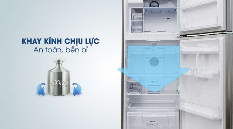 Yên tâm tích trữ thực phẩm với khay kính chịu lực lớn - Tủ lạnh Samsung Inverter 360 lít RT35K5982S8/SV