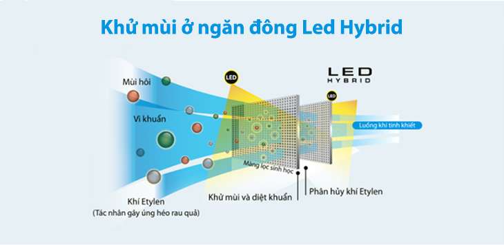 Khử mùi ở ngăn đông Led Hybrid 