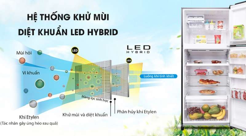 Khử mùi kháng khuẩn triệt để với hệ thống LED HYBRID - Tủ lạnh Toshiba Inverter 359 lít GR-AG41VPDZ XK1Tủ lạnh Toshiba Inverter 359 lít GR-AG41VPDZ XK1