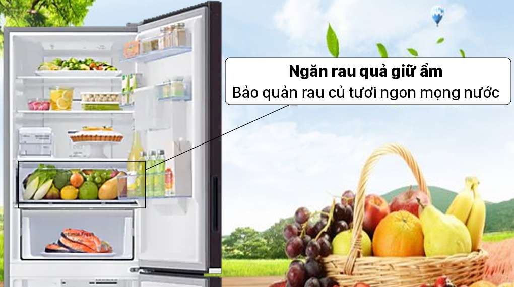 Tủ lạnh Samsung Inverter 307 lít RB30N4190BY/SV - Bảo quản trái cây mọng nước
