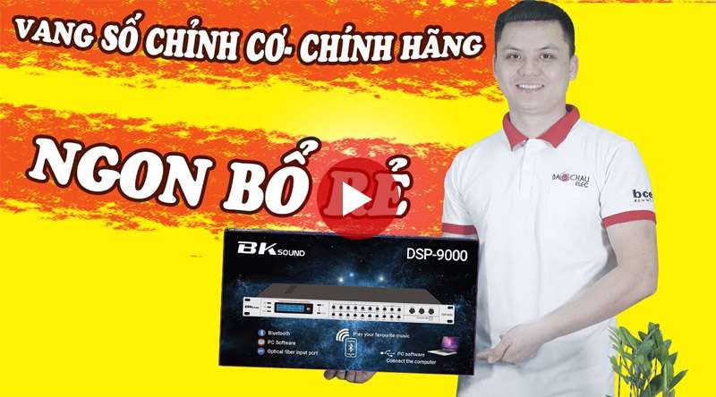 Vang số BKsound DSP-9000