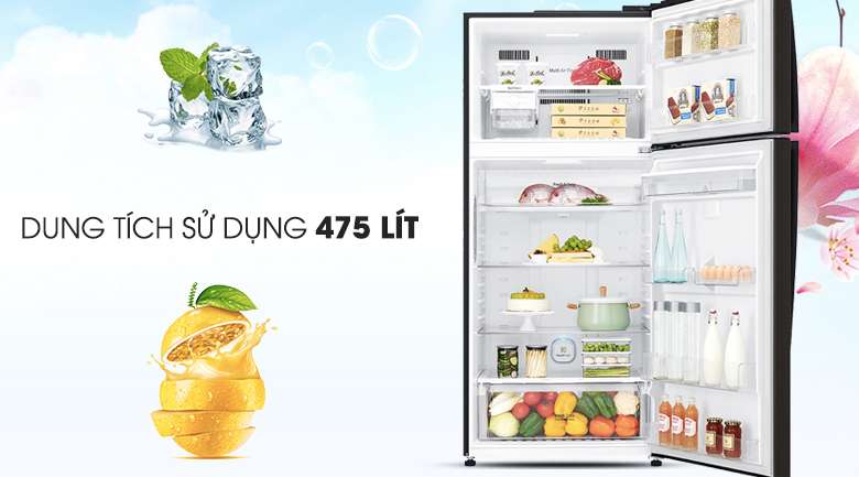 Tủ lạnh LG Inverter 475 lít GN-D602BL - Dung tích