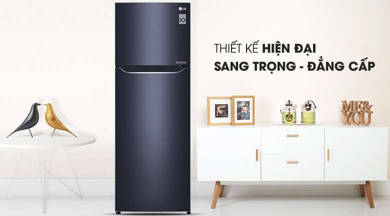 Tủ lạnh LG Inverter 315 lít GN-L315PN