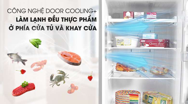 Duy trì ổn định nhiệt độ với công nghệ Door Cooling+ - Tủ lạnh LG Inverter 315 lít GN-L315PS