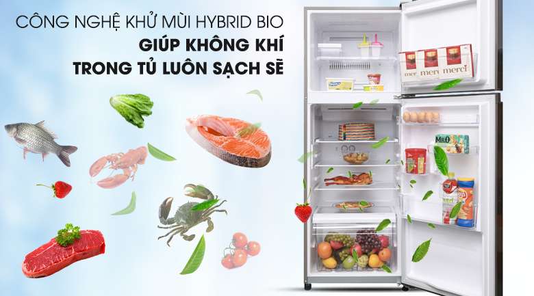 Công nghệ Hybrid Bio loại bỏ hoàn toàn mọi vi khuẩn và mùi hôi bên trong tủ - Tủ lạnh Toshiba Inverter 305 lít GR-A36VUBZ DS1